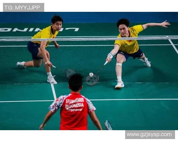 赛后分析：西安羽毛球队与深圳羽毛球队的战术意识与表现对比